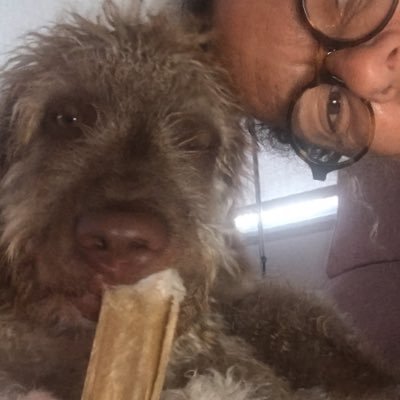 ppopi25's profile picture. Llibertat