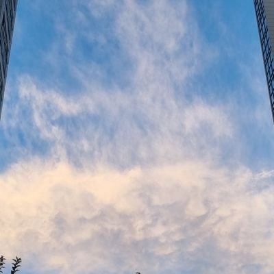엥앵さんのプロフィール画像