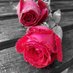 layla_H_G (@layla_h_g) Twitter profile photo
