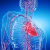 Mahfoudha Al Shezawi (@mahfoudhas) 's Twitter Profile Photo