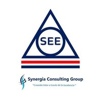 SEE_CONSULTING_GROUP (@see_consulting) 's Twitter Profile