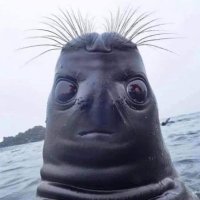ɹnʇsɐH (@hasturtime) 's Twitter Profile