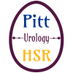 Pitt Urology HSR Division (@HSR_Uro_Pitt) Twitter profile photo