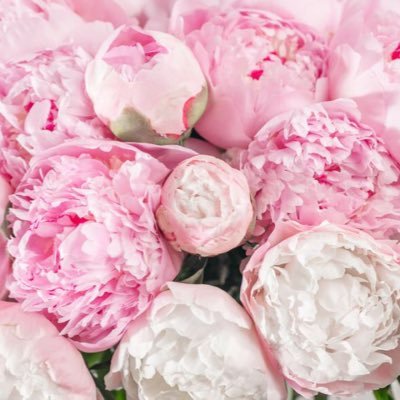 ann_raph's profile picture. 