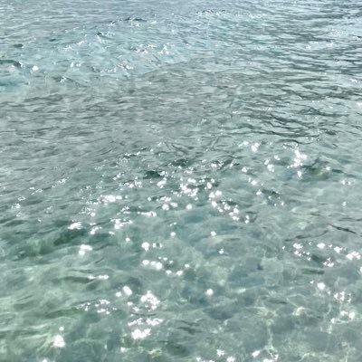 ytso__'s profile picture. ほな！🍋