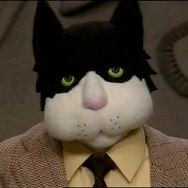 Groucha_le_chat's profile picture. Chalut ! à demain, si on veut bien !