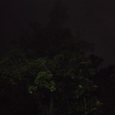 Gireesh45758092's profile picture. 