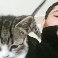 Kravatsız Öğretmen (@janpardean) 's Twitter Profile Photo