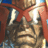 490_Donk's profile image