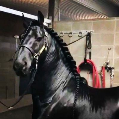 Lazdy7BxGEYw9if's profile picture. nour