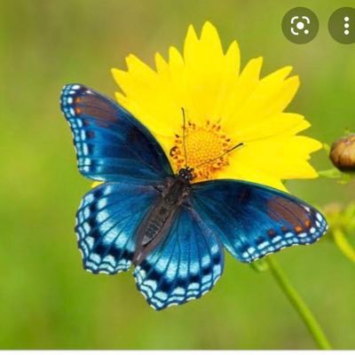 criskov's profile picture. Brasileira, com espírito de brasileira e olhos abertos 👀.