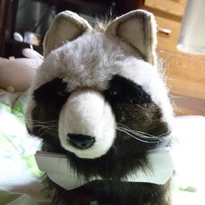 テリチヌ Hansa タヌキ ぬいぐるみ こんなタグがあるなら やるしかなかろう オーストラリア輸入 Hansa製 タヌキぬいぐるみ リアル リアルすぎて剥製にしか見えない モフ感は少ないが 触り心地は良く抱きやすい ただ 値段が高い T テリチヌ Hansa タヌキ ぬいぐるみ こんなタグがあるなら やるしかなかろう オーストラリア輸入 Hansa製 タヌキぬいぐるみ リアル リアルすぎて剥製にしか見えない モフ感は少ないが 触り心地は良く抱きやすい ただ 値段が高い T
