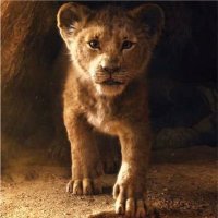 Nikelodeon (@nikelodeon2021) 's Twitter Profile Photo Nikelodeon (@nikelodeon2021) 's Twitter Profile Photo