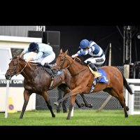 Ronan Ely (@ronan_ronanely) 's Twitter Profile Photo