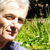 Peter Hammill (@Sofa_sound) Twitter profile photo