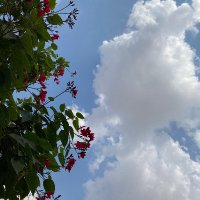 المهرة (@al_mohraq) 's Twitter Profile