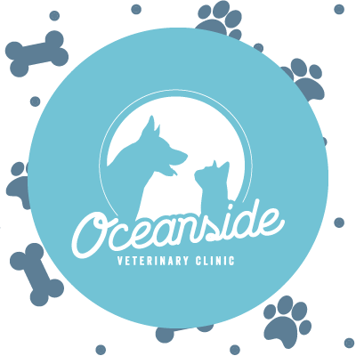 We are a full-service veterinary clinic located on James Island, SC. 🐾 843.795.7574