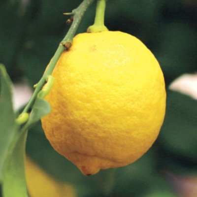 johndud97223308's profile picture. 