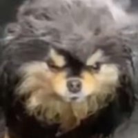i heart balls (@yeahokmaybe11) 's Twitter Profile