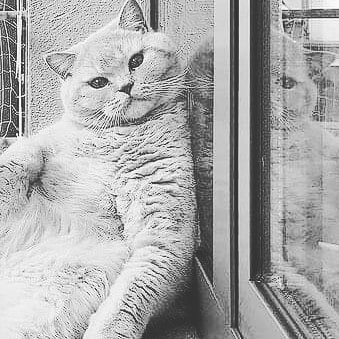 Rai92918841's profile picture. A vida é bela