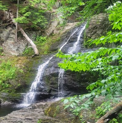 cubanbread83's profile picture. Determined