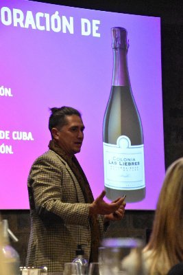 Enólogo, asesor en vinos, experto catador, embajador del Bonarda , orgulloso de vivir en la tierra del Libertador, y la capital del bonarda