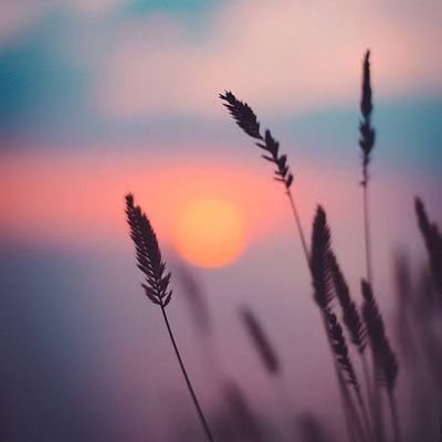 HumanHumor's profile picture. Humor_my life..