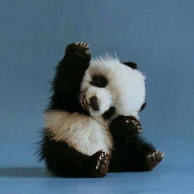 PA ideas & random thoughts from founder of https://t.co/yYv4TwdZnE
Avid Unicorn Hunter!
See @fuzzypandashort for deep due diligence, come here for the noise!