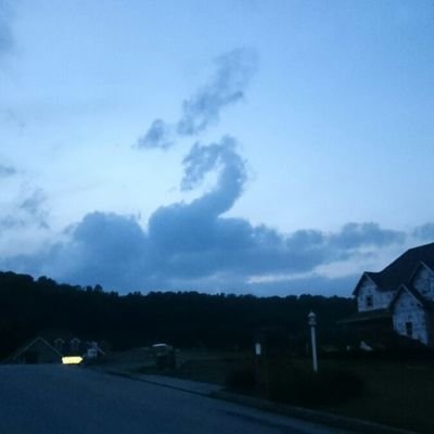 Drake31448629's profile picture. 