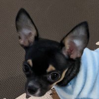 Qoo (@qoo201220) 's Twitter Profile Photo