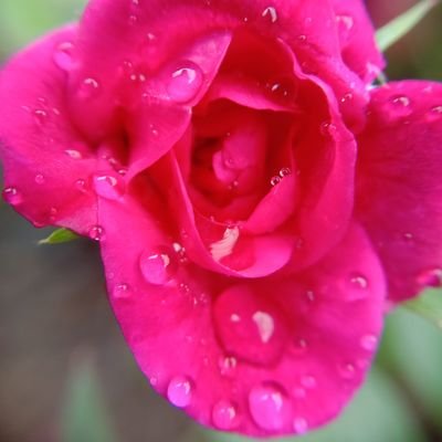 unknown20one's profile picture. 