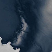 Brucesrevenge (@yobidon_) 's Twitter Profile