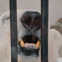 突撃一番 (@pczqqpv0ee7lxi6) 's Twitter Profile