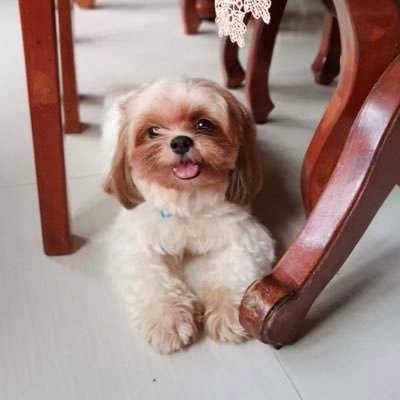 VenWaitForIt's profile picture. dump account