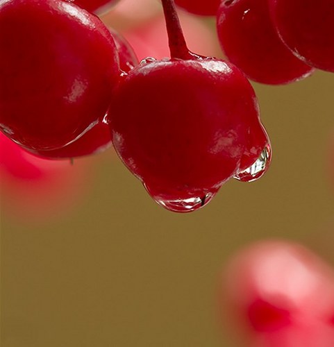 Schatz92's profile picture. 