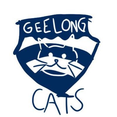 19. Cats tragic. 99% of my tweets are about footy. #GeelongStrong 🌈🏴