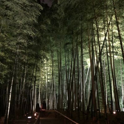 SWsCqdYZxXTDbWy's profile picture. 