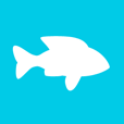 Which Fish? is a simple website that lets you make quick decisions about buying sustainable fish.