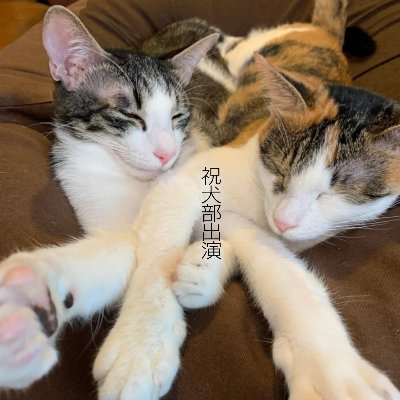 中川大志 サイン入りチェキ写真 中川大志 サイン入りチェキ写真