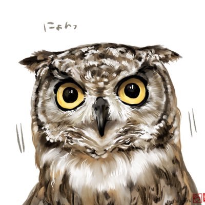 アフリカワシミミズク🦉【シュエット・ポッポ・ロプロス】のアカウント。飼い主【ハピネスおやじ】😎による飼育記録です。無言フォロー申訳ありません🙇‍♂️ RTご自由に😄 お迎え2020年2月19日🪶誕生日1月25日🎂フォローバックは🦉オーナーの方が多目😊 #アフリカワシミミズク #アフワシ #肩乗りふくろう