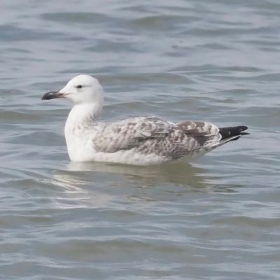 Andy3278's profile picture. 