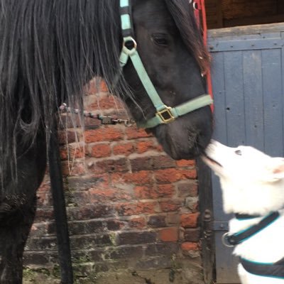 CompleteMySale's profile picture. Premier sales progression and after sales customer support outsourcing service for estate agents. Maximise your completions. Maximise your customer service.