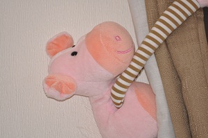 camcorders_deal's profile picture. 