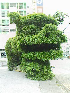 ancyan1234's profile picture. 仕事しながら婆様と猫様のお世話をしていましたが婆様は遠くの世界へ行ってしまったので今は仕事しながらねこ様の世話ばかり。  ねこかわいいね。