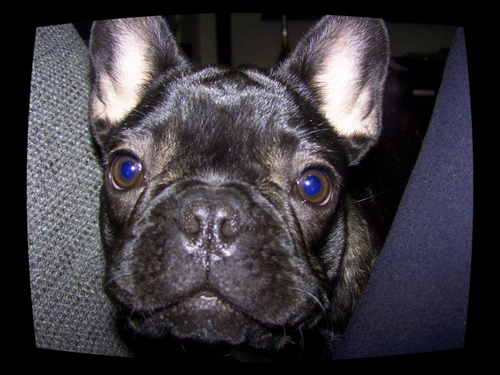 raredingen's profile picture. Rare Dingen / Feiten #quote #humor #raarmaarwaar #schietmijmaarlek
Een glimlach op je gezicht ok dan:De meeste vrouwen kunnen beter geld opmaken dan bedden.