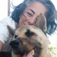 Selen K. (@selenkozdemir) Twitter profile photo