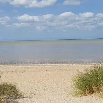 pepita811's profile picture. 