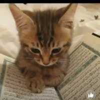 Sahel Khan ❤️ (✸,✸) (@sahelkhan22) 's Twitter Profile