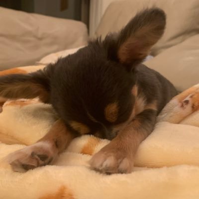 dAlG01NkmsIyrr's profile picture. ただただフォローする垢 不穏が好き