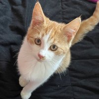 Cranky Feminist (@cranky_and) 's Twitter Profile